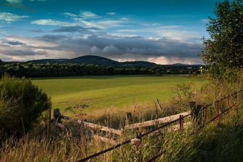 grass-country-land