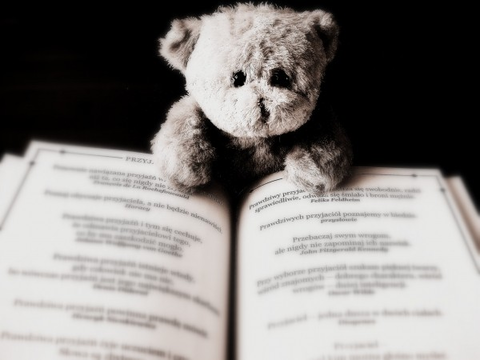 bear-toy-animal-teddy-child-book-reading