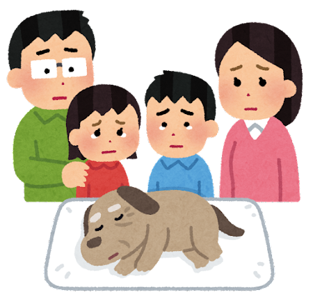 pet_kazoku_mitoru_dog